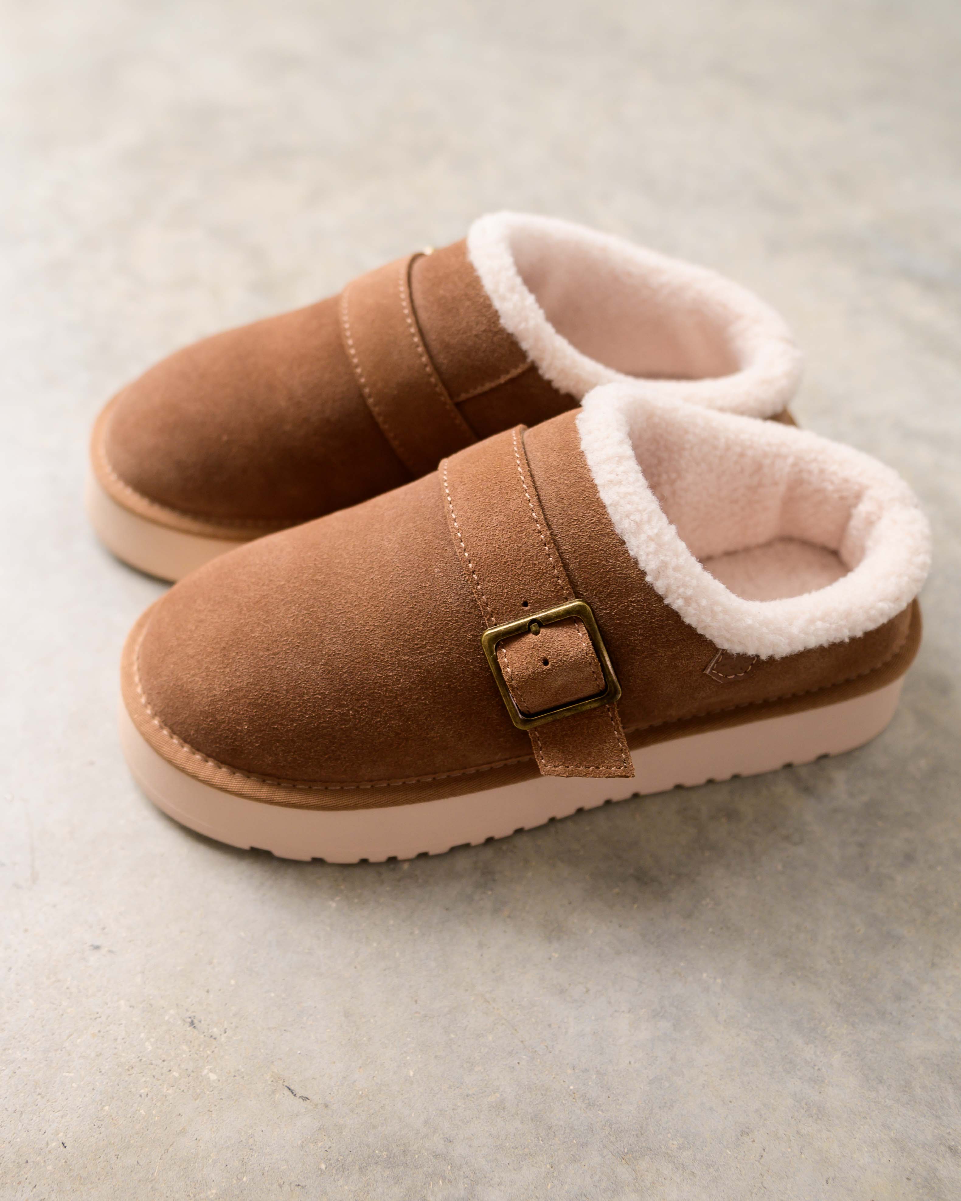 Plateforme Zueco Sangano Borreguillo