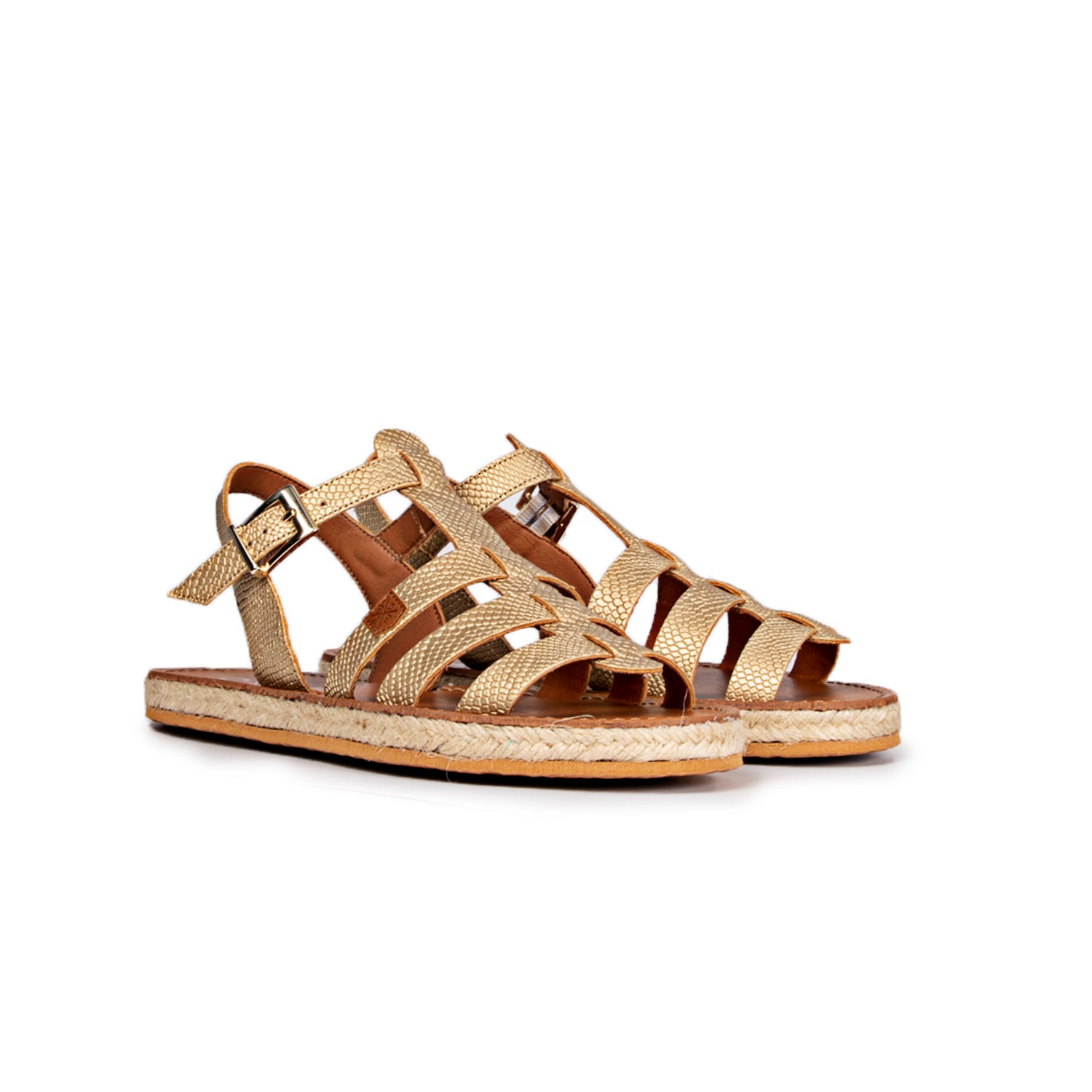 4P Iggy Ticra Oro Ticra