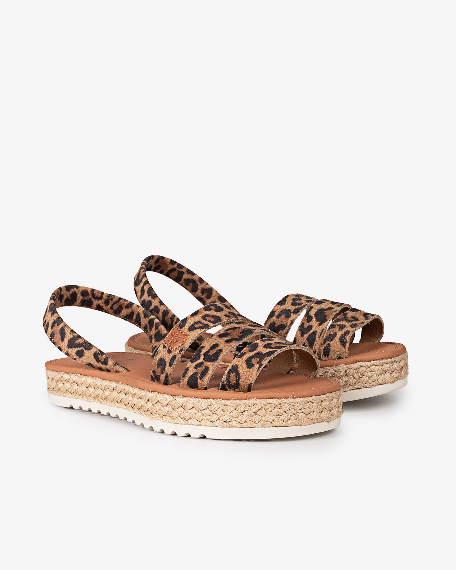 5P Conche Leopardo Negro 35