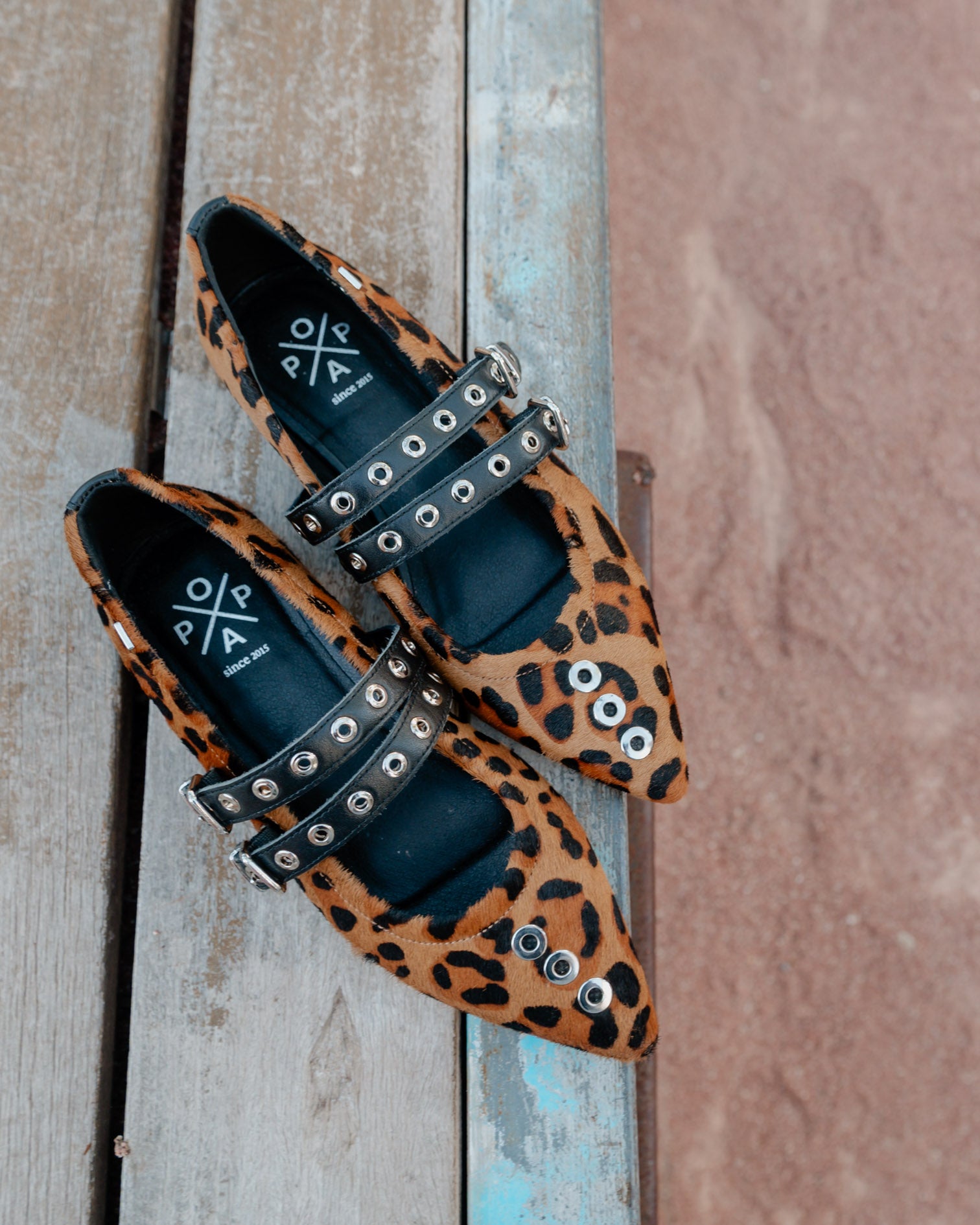 Leopard Print Ballerina with Star Studs