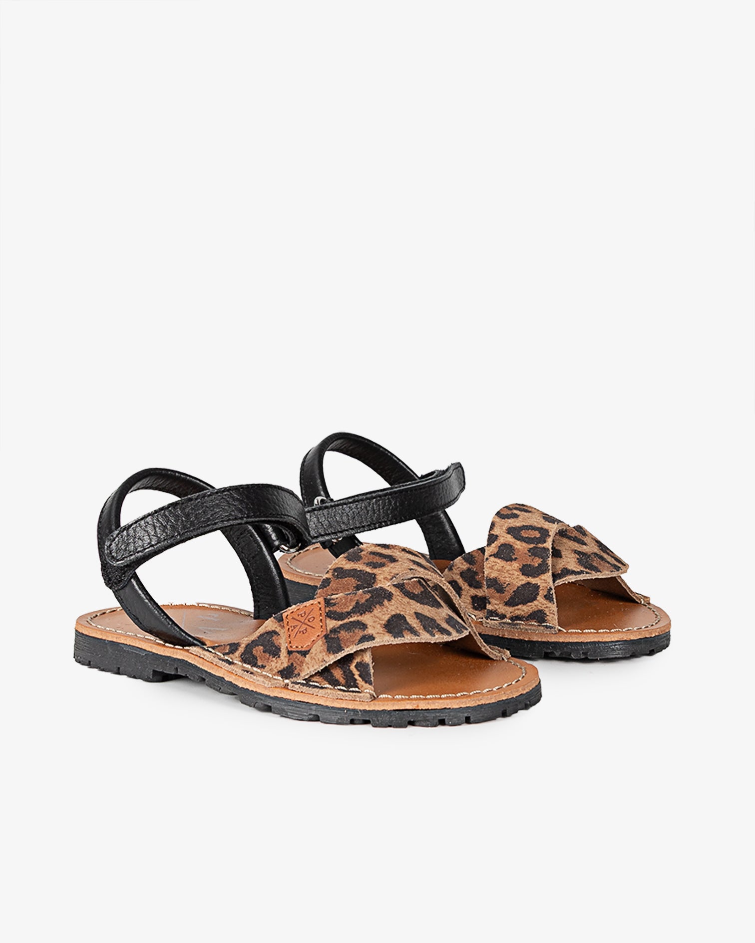 5P Garoupe Leopardo Negro 25