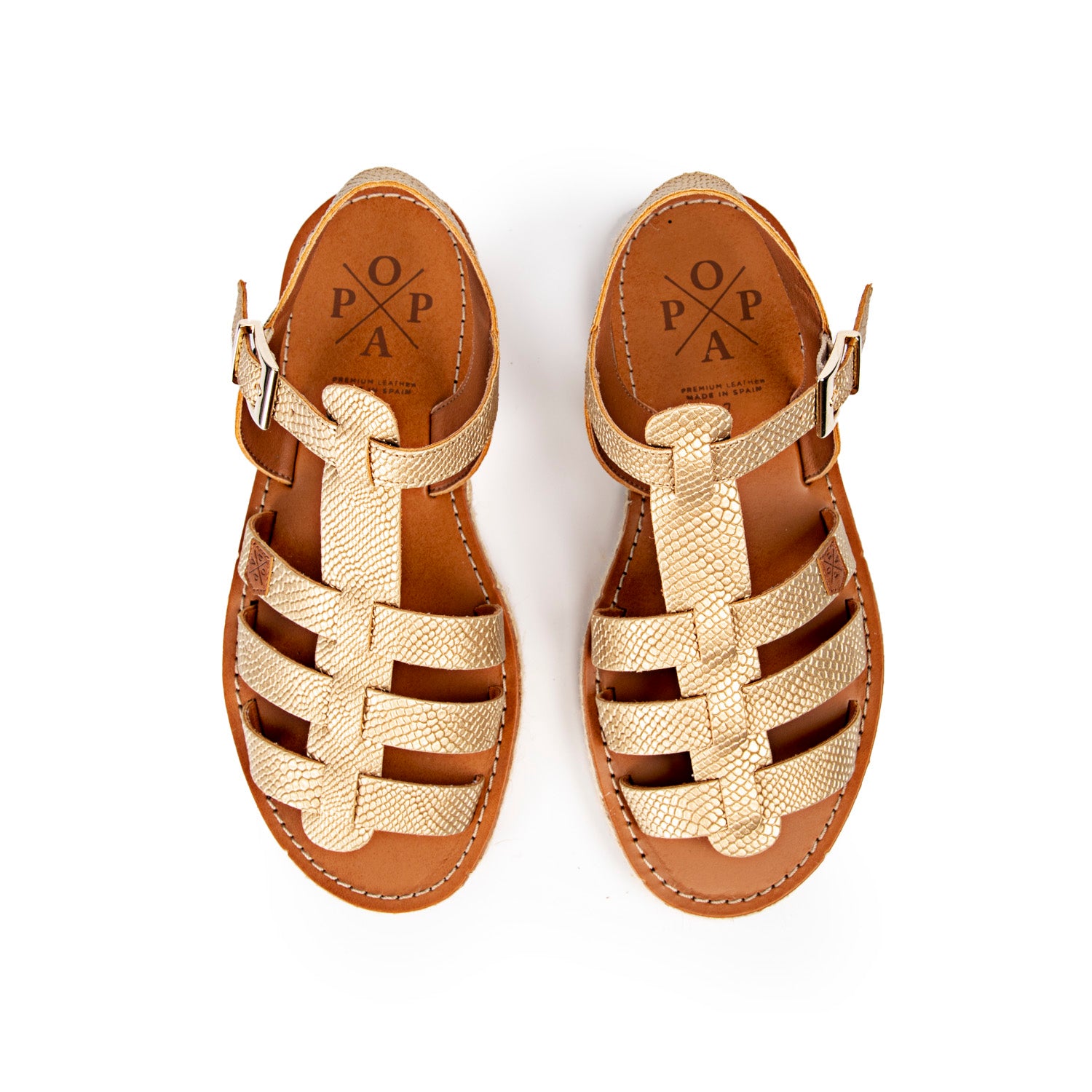 4P Iggy Ticra Oro Ticra